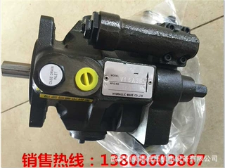 柱塞式油马达CQ2B32TN-10SFZ