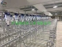 庆阳品质养殖生产定位栏