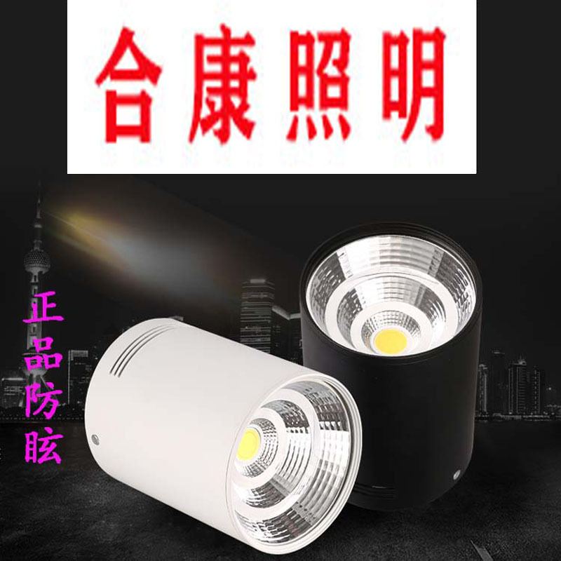 led Down lamp Aisle a living room circular Down lamp Ceiling 7W12W15W20W30W Open hole Surface mounted downlights