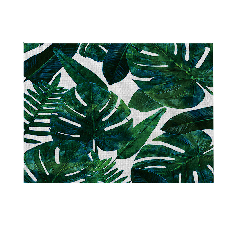 CD008-6