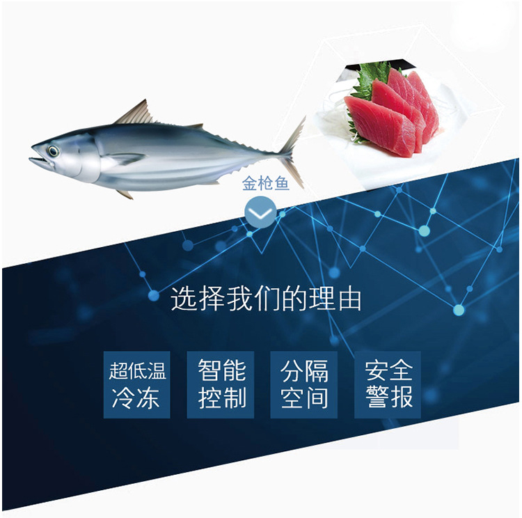 和利 -60低温保鲜柜DW-60W60卧式超低温保存箱金枪鱼