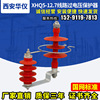 XHQ5-12 Zinc oxide Arrester High voltage line Passing Voltage Protector Line Voltage