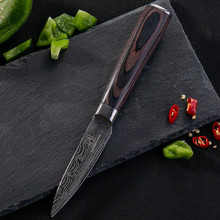 ���P䓏N�õ� 3.5���Ƥˮ����������Rʿ�ﻨ�y�N�����羳���N