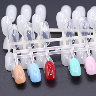 Japanese Style Cute Short Round Head Nail Art Nail Art Pieces Novice Practice Work Plate Tool Display Nail Polish Brush Color Card