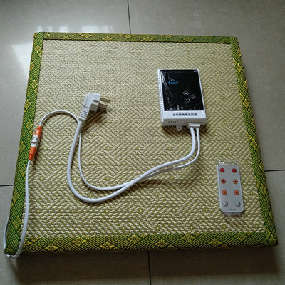 厂家定制电热榻榻米垫子加热棕垫地热椰棕炕暖垫子调温床垫坐垫|ms