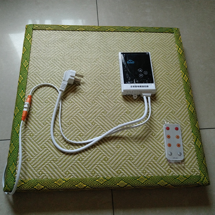 厂家定制电热榻榻米垫子加热棕垫地热椰棕炕暖垫子调温床垫坐垫|ms