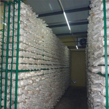 廠家批發食用菌網格網架 食用菌出菇架 蘑菇網片 養蘑菇菌發菌架