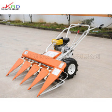 ȫ�Ԅ�ˮ��������е С��ˮ���ի@���C ����ˮ�������ո���