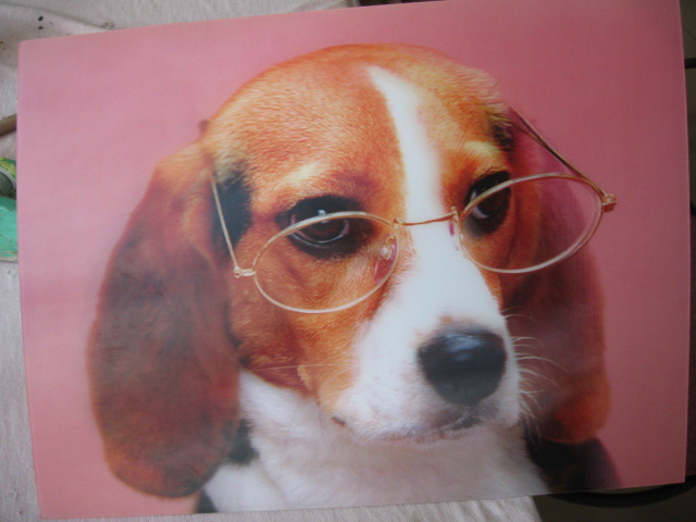 供应3D磁条卡 卡片印刷三维立体推荐供应 4C印刷  不干胶印刷