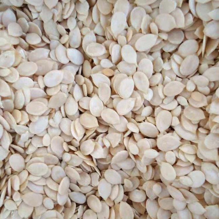 Raw Watermelon Seed Kernels Xi Gua Ren for Mooncake Filling and Herbal Decoction overview