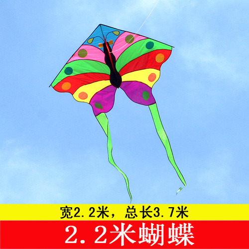 Weifang Kite Wholesale Factory Direct Sales Breeze Easy to Fly Large Kite Rainbow Colorful Peacock Butterfly Kite for Children