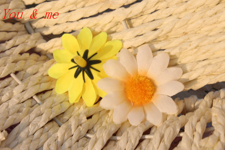 2559355740_1771322019