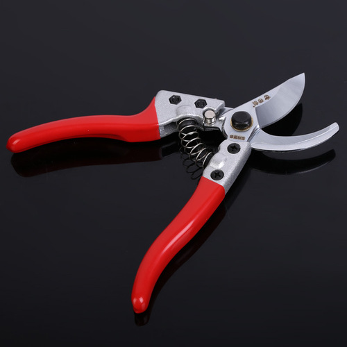 Supply Dichuang multi-specification fruit branch shears, gardening branch garden shears, pruning shears Linyi garden shears tools