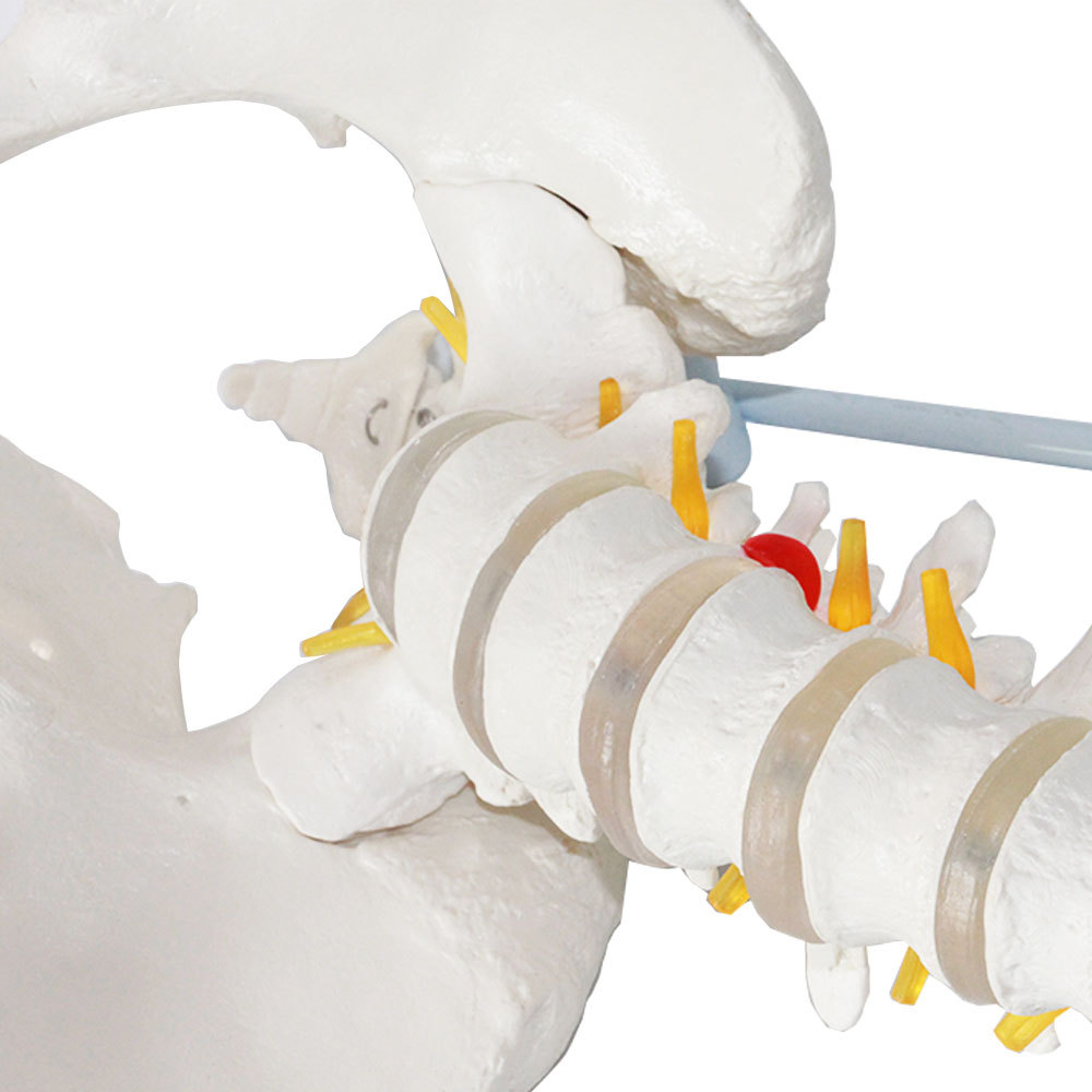 微信图片_20191030145720