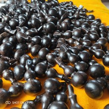 ��ľ�Ϲ�̴С���J耳׿۾��ƏS�����l��̴ľ����쉋�