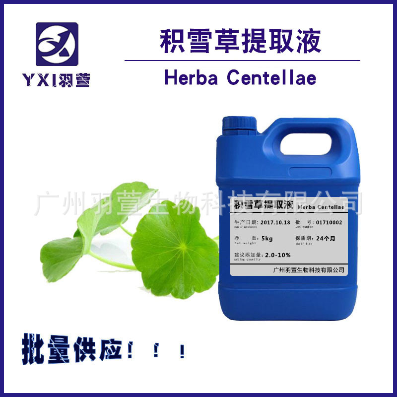Snow Extract Centella asiatica extractive Plant extract Centella asiatica Extract Purity assurance