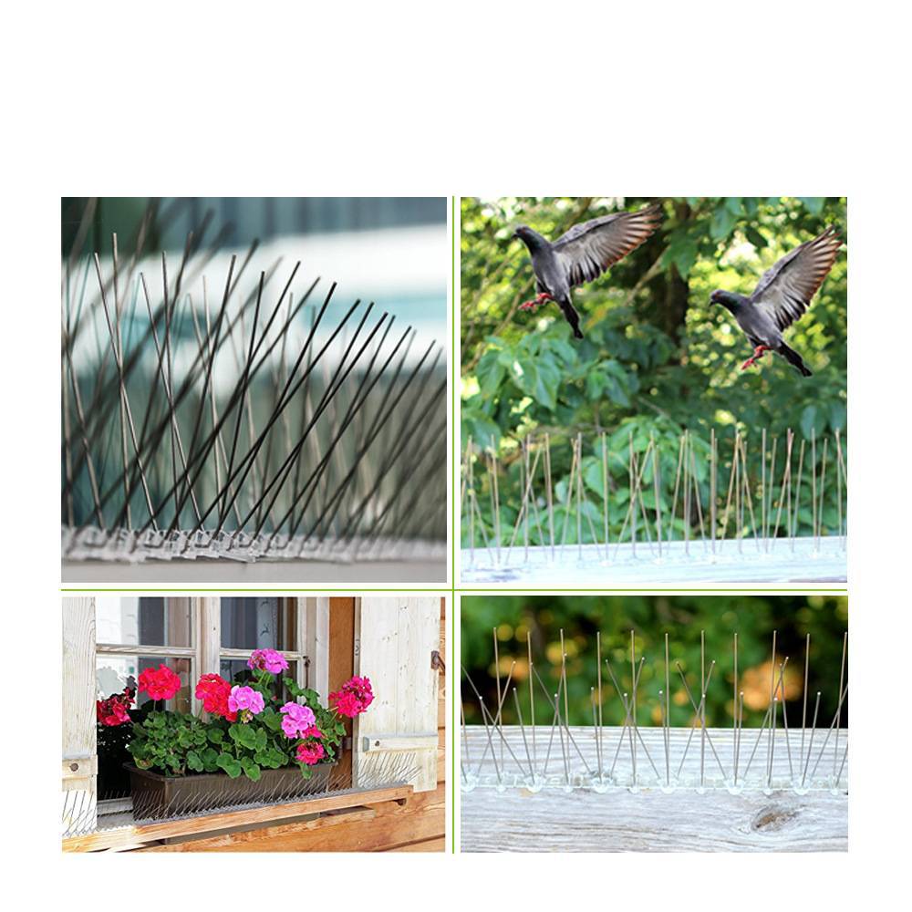 10316154173_290648788 (1)