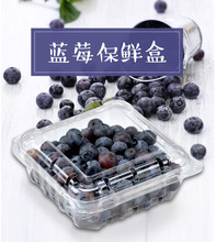125g蓝莓盒水果125克透明樱桃草莓包装塑料加厚桑果盒