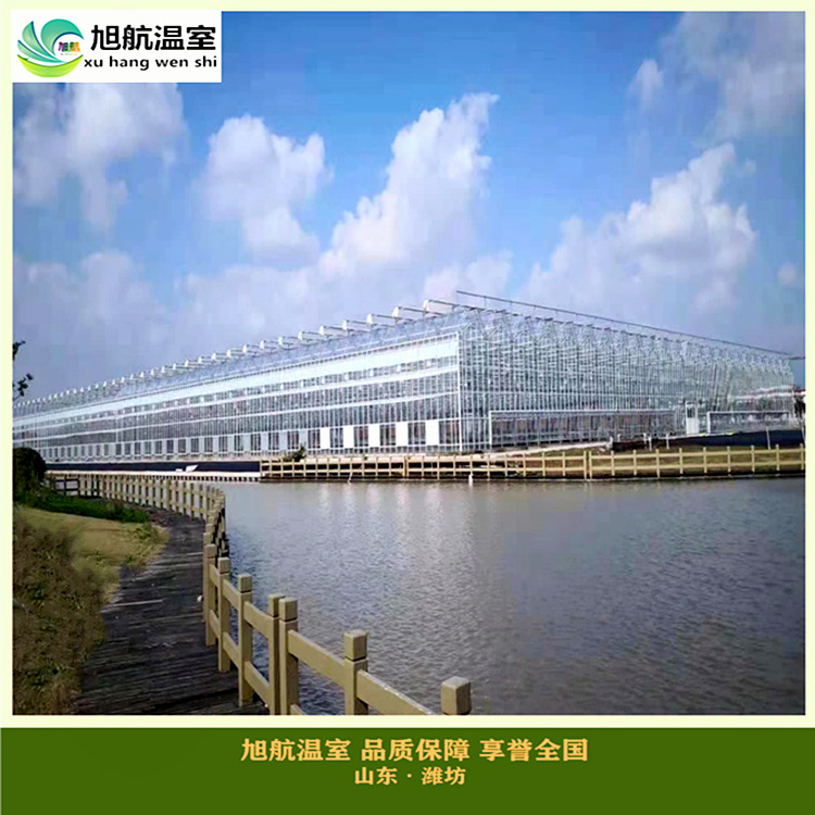 weixintupian_20190128105736_副本