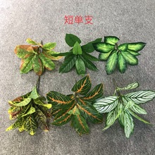 短單枝變色木綠孔雀竹芋手感把束婚慶用品仿真植物牆綠植裝飾假花