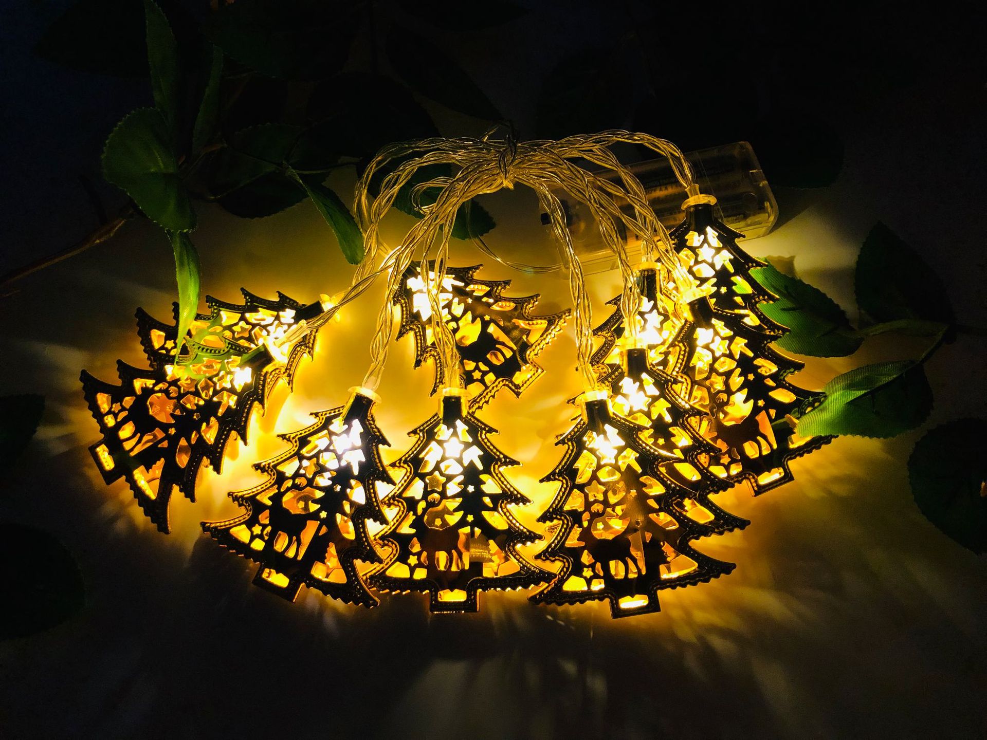 IMG_4881(20190511-201619)