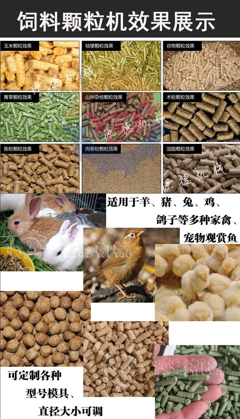 120型畜牧养殖专用饲料颗粒机 鸡鸭兔料饲料压块颗粒机 挤压式饲料颗粒机 小型饲料颗粒机厂家示例图6