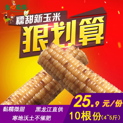 东北糯玉米棒花色玉米粘嫩10根4~5斤彩色玉米真空玉米批代发包邮