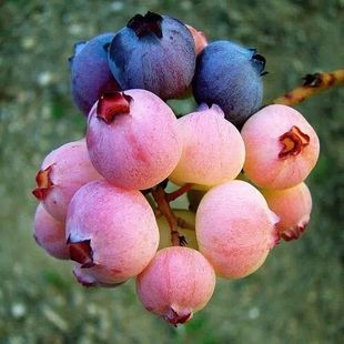 ���ؼ޽Ӹ��NҎ���{ݮ���� ���l�r����ێ��I�B���{ݮ����