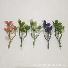 9CM3�����~�� ��ɫ����ˮ����� ���滨����ֲ��z�����