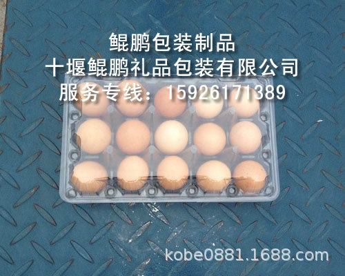 15枚装洋鸡蛋、肉鸡蛋吸塑蛋托/塑料鸡蛋盒15枚大号鸡蛋包装托盘