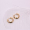 Earrings stainless steel, fashionable accessory