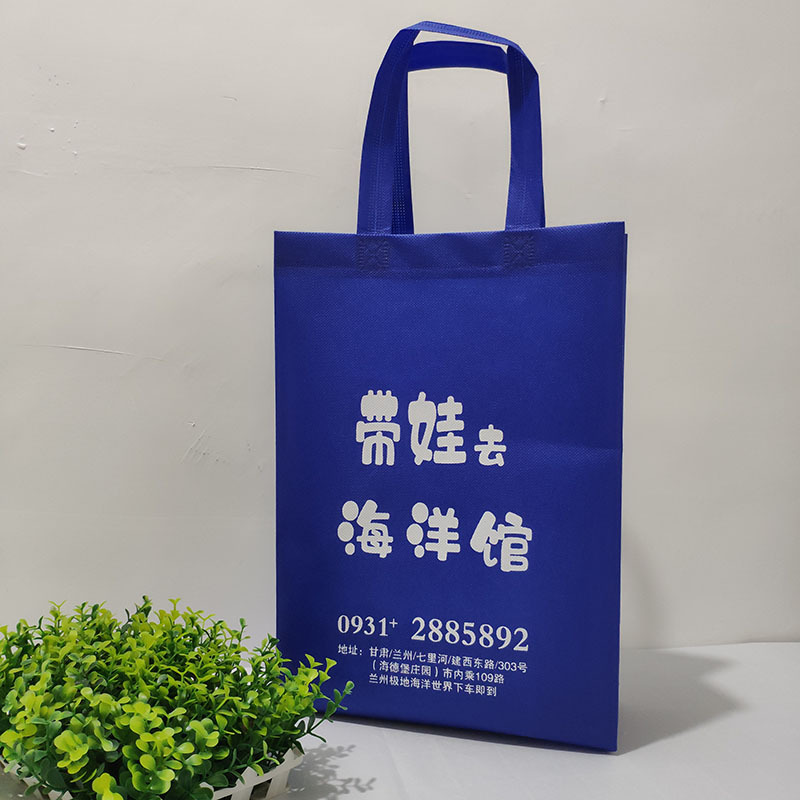 带娃去海洋馆手提袋定制广告礼品袋做蓝色环保无纺布袋子印刷logo