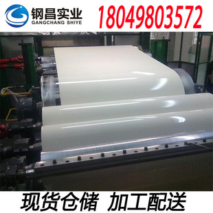 ������䓲ʉT�� ���B��������TS350GD+AZ ��ƫ������ϩ�yɫ�ʾ�