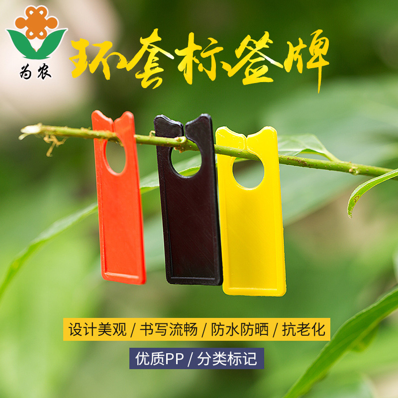 葡萄記號牌  葡萄標記牌 西瓜標記牌 甜瓜分批處理色卡 二代加厚