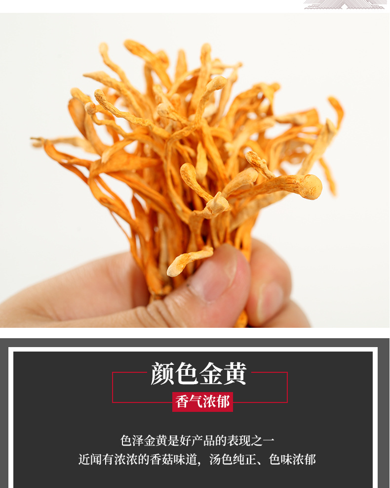 Cordyceps Flower Spore Head (Cordyceps militaris) — Dried Food Herb for Soup & Tea overview