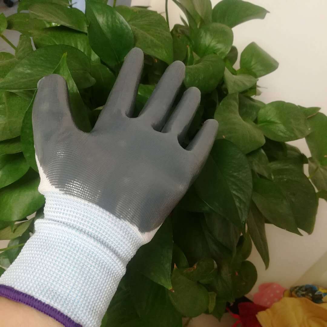 6eedb22f1ecf36775b6fd300f7e336