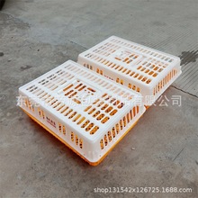 廣西廠家批發養雞基地專用塑料雞籠 鴨用周轉箱運輸框橙黃一號籠