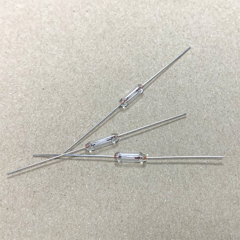 Glass Fuse熔断器全玻璃外壳玻封管节能灯保险丝2.9x10 2A 250V