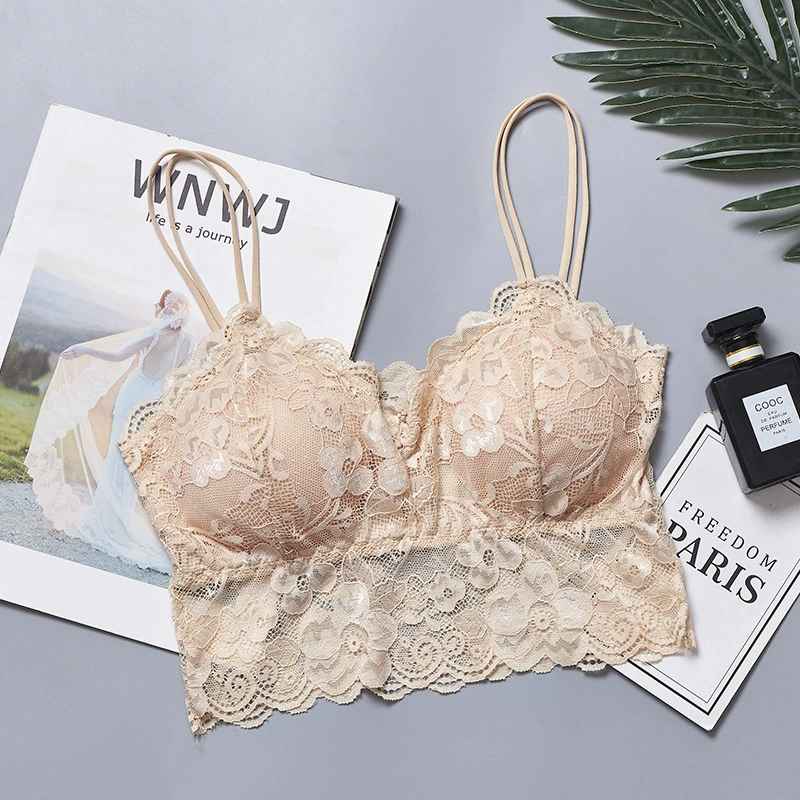 Lace Wireless Bra Top (Women), Padded Tube Top, Beautiful Back, Lace 2-Size (M/L)
