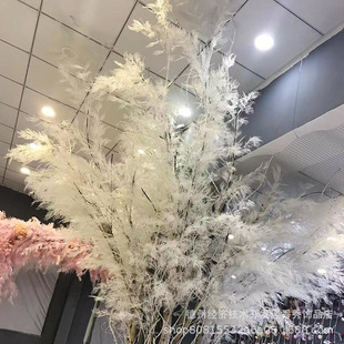 Pβ~֧ cbˇϻF Fڡ쾰߼ٻPβ