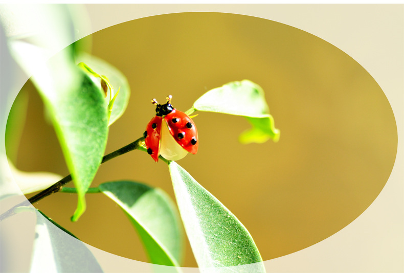 Ladybugs Pattern Cute Pin Ladybugs Alloy Plating Inlay Rhinestones Cat's Eye Stone Unisex Brooches