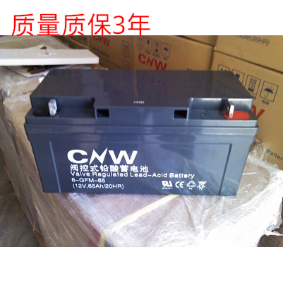 储霸蓄电池 12V24AH CNW蓄电池12V24AH UPS蓄电池
