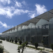安徽六安 阳光板温室大棚 智能温室 连栋薄膜温室大棚 温室大棚