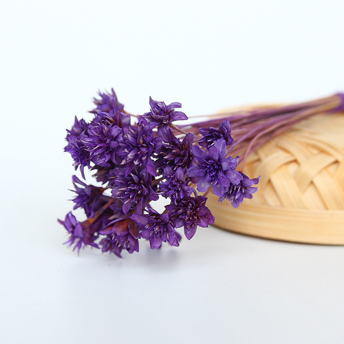 Preserved flower material color gift box with dried flowers small bouquet home flower arrangement diy preserved flower gift box material