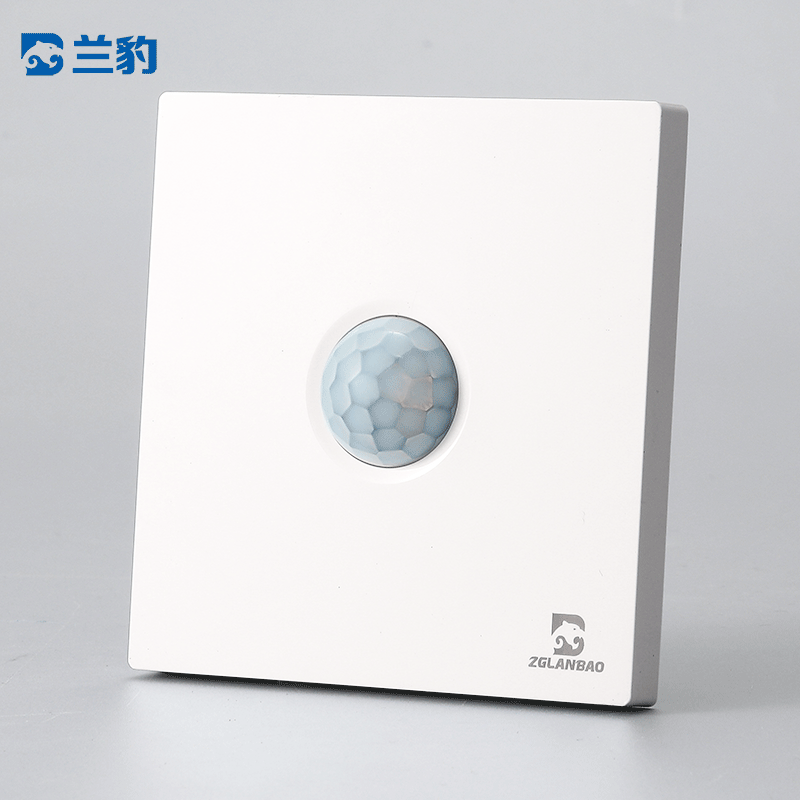 Human body Induction delay switch