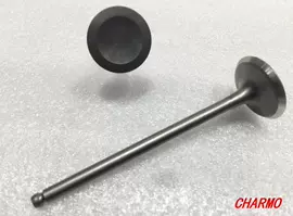 气缸及部件;活塞/活塞环;曲轴、凸轮轴