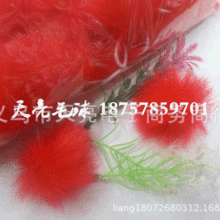 ����ë��S5CM����ë�������l�N�� Ҏ���ӆ���·�Ь���b��