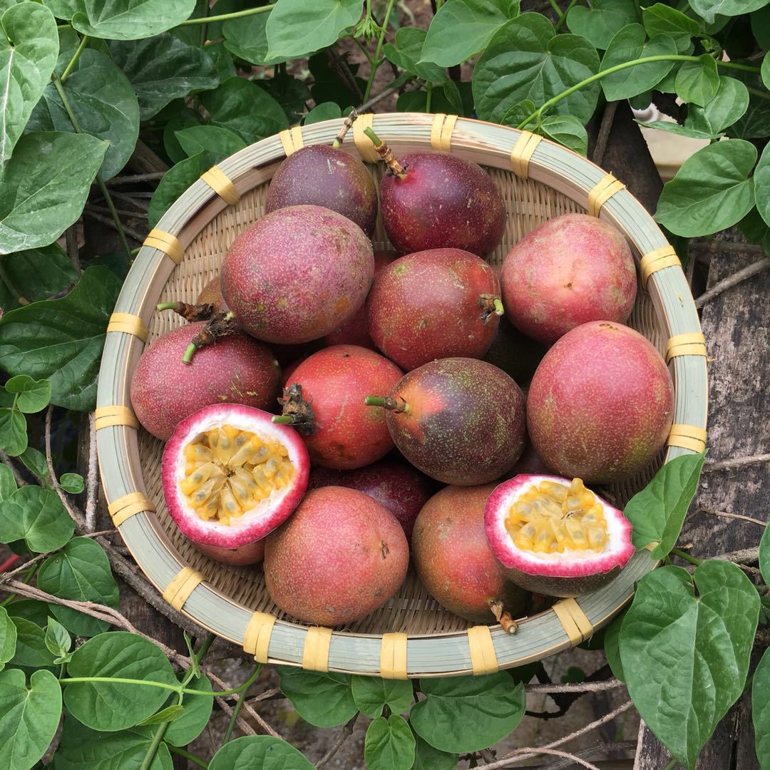 Large Passion fruit 5 pounds 3 Jin passion fruit Eggs, fruit fresh fruit wholesale Number one