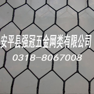 �S�ҹ������ǾW �Q���W ���ؾW �B�u�W�����ڮaƷ��