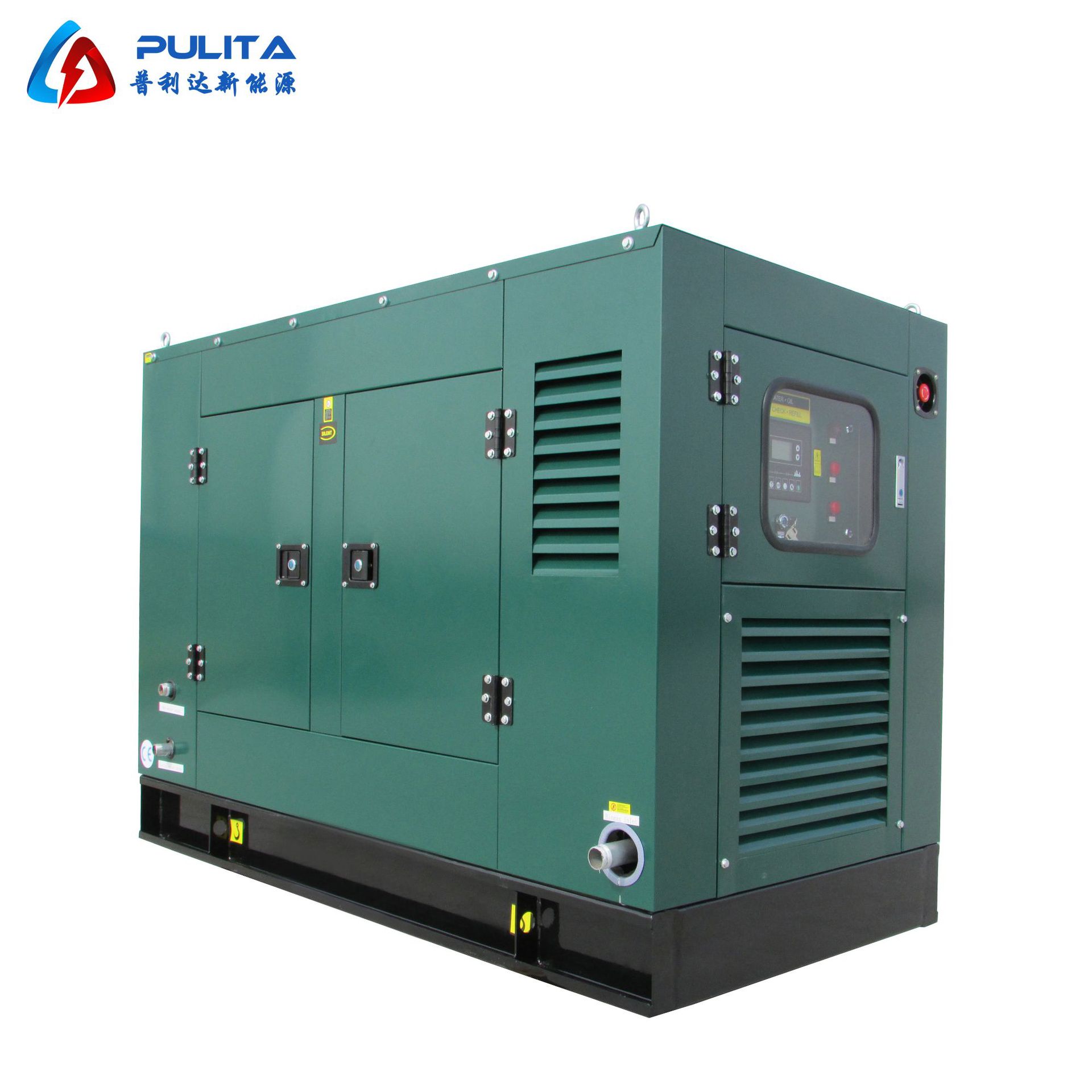 3.Biogas Generator_25kW_Silent